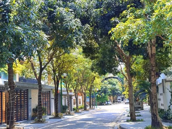 Chủ giảm chào 20 tỷ: Biệt thự Tây Nam Linh Đàm 200m², còn 52 tỷ